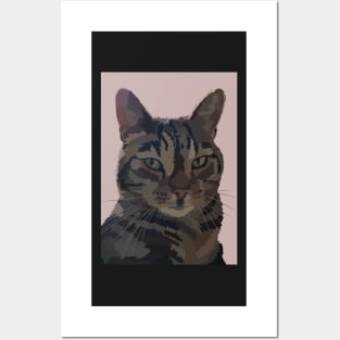 Gorgeous George the Tabby Cat Posters and Art